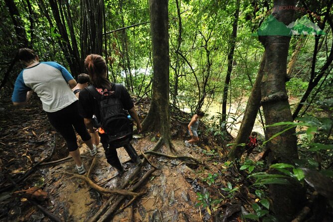 Khao Sok National Park Hiking and Bamboo Raft Tour From Khao Lak - Why this Khao Sok day works so well