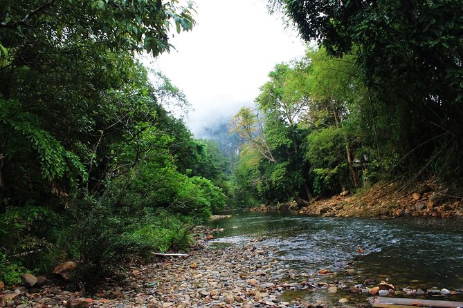 Khao Sok National Park Hiking and Bamboo Raft Tour From Khao Lak - Thai lunch after the hike