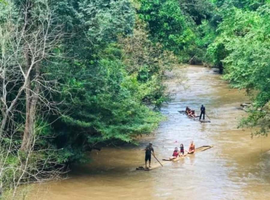 Khao Sok: Private Bamboo Rafting & Jungle Cave Temple Tour - How the private format affects the price
