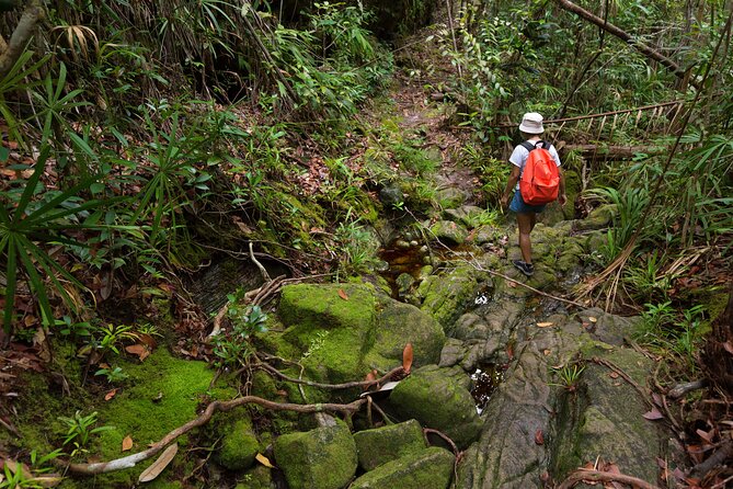 Khao Sok Rainforest | Hiking & Bamboo Rafting - A seven-hour route from Khao Lak to Khao Sok