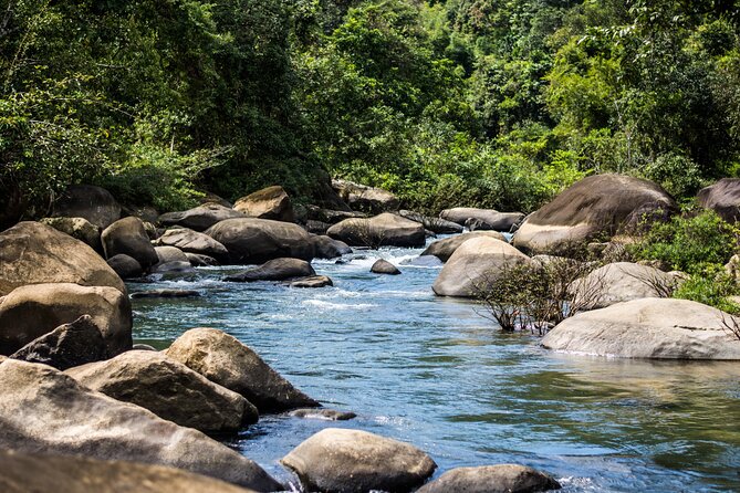 Khao Sok Rainforest | Hiking & Bamboo Rafting - Jungle coffee and the Khao Sok viewpoint
