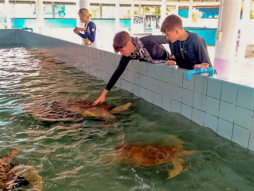 Khaolak: Bamboo Rafting, Waterfalls, and Turtle Conservation - Should You Book the Khao Lak Rafting and Turtle Tour?