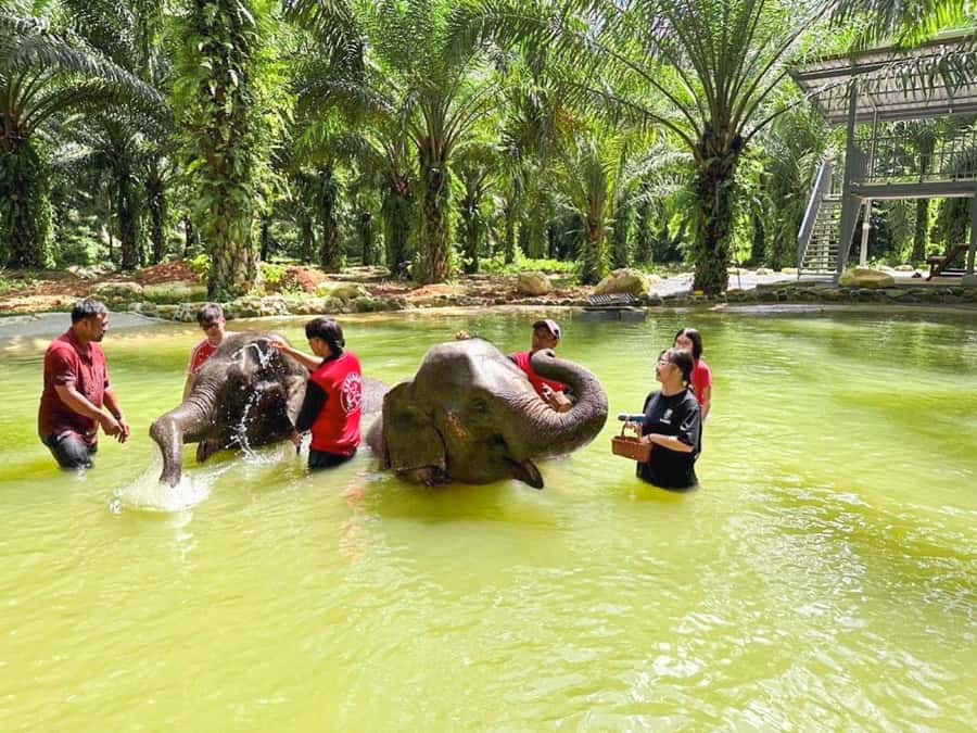 KhaoLak :White Water Rafting ,Monkey Cave, Elephant Bathing - Key points at a glance