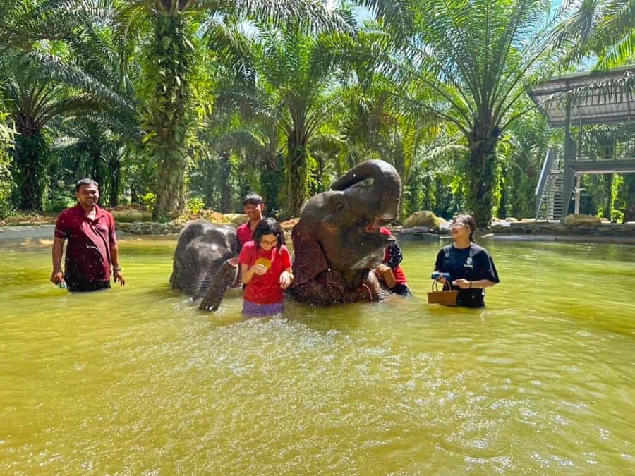 KhaoLak :White Water Rafting ,Monkey Cave, Elephant Bathing - What to pack and who should skip it