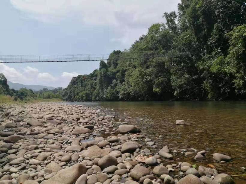 Kiulu River: River Rafting + ATV Shared Group Day Trip - A 110-minute ATV ride through Sabah’s hills