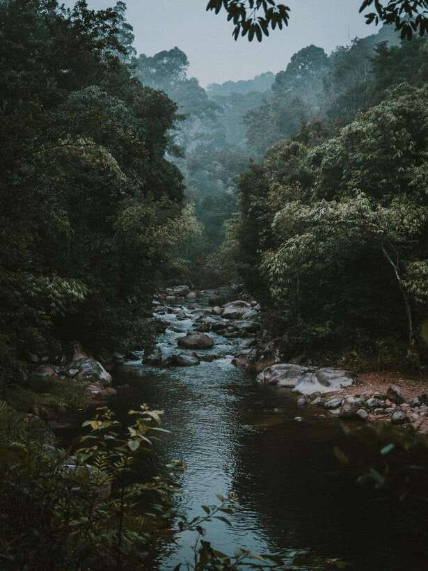 KL: Day Tour with Rafting, Fireflies, and Meals - Batu Caves and the 272-step climb