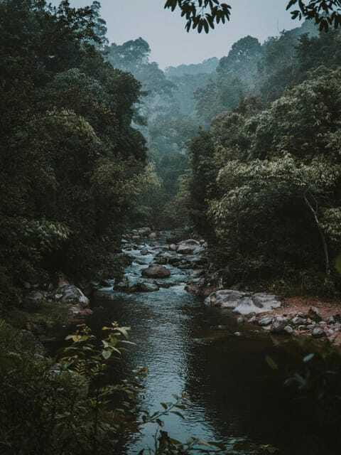 KL: Day Tour with Rafting, Fireflies, and Meals - Banana leaf lunch near Batu Caves
