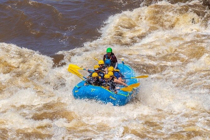 Kokopelli ~ Taos, NM Racecourse Half Day Rafting - The five things to know before you book
