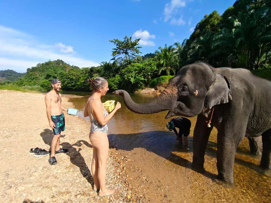Krabi: Khao Sok Elephant Rescue Center & Bamboo Raft Paddle - Meeting the Elephants at Thongsuk Elephant Park