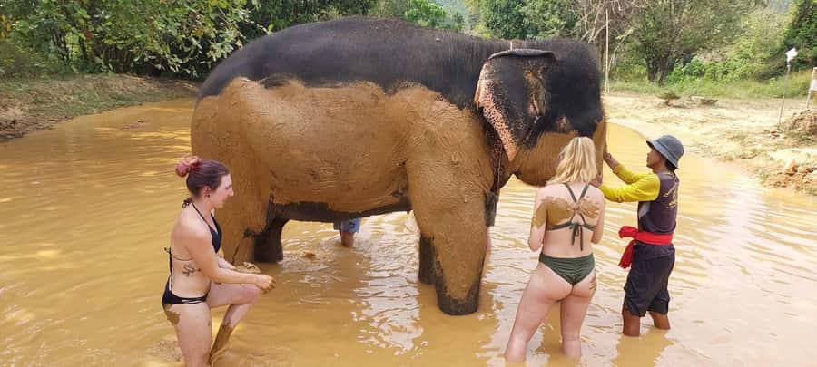 Krabi: Khao Sok Elephant Rescue Center & Bamboo Raft Paddle - Bamboo Rafting on the Sok River