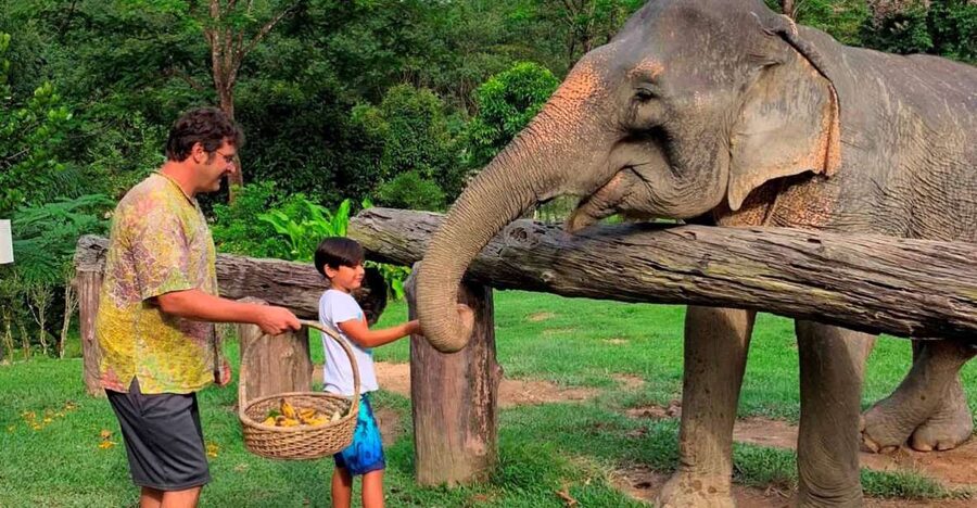 Krabi: Khao Sok Elephant Sanctuary, Rafting Tour, and Lunch - Key points to know before booking
