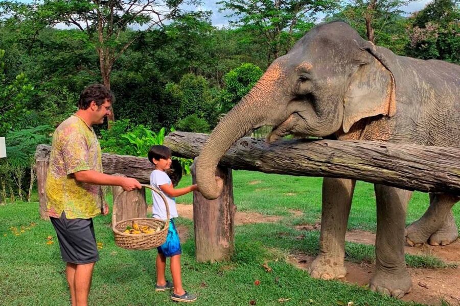 Krabi: Khao Sok Elephant Sanctuary, Rafting Tour, and Lunch - The long ride from Krabi into Khao Sok