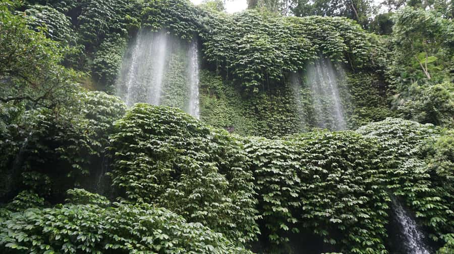 Lombok: Waterfall Benang Kelambu & River Rafting Trip - Practical tips for getting more from the day