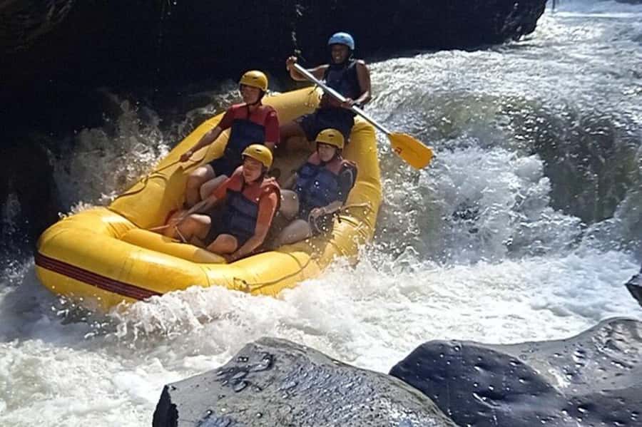 Lombok: White Water Rafting, Rice Terrace & Waterfall Tour - Rice terraces near Batu Keliang Regency