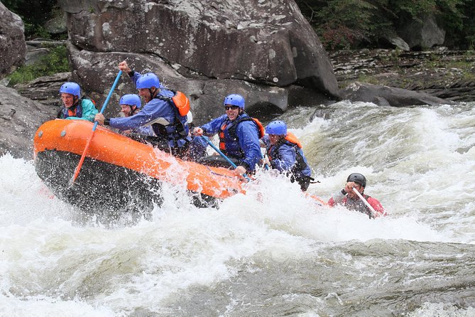Lower Gauley River Whitewater Rafting Trip - Key points to know before you book