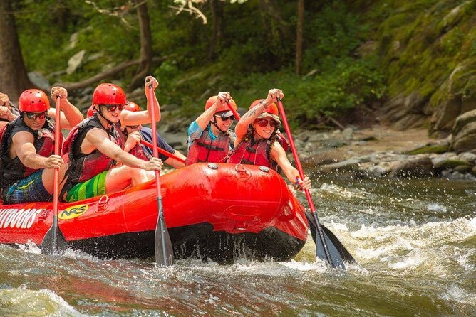 Lower Pigeon River Rafting Tour - What the Lower Pigeon River trip is really like