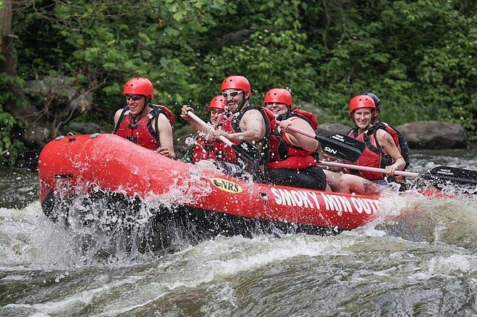 Lower Pigeon River Rafting Tour - The raft ride: easy rapids, teamwork, and Smoky Mountain views