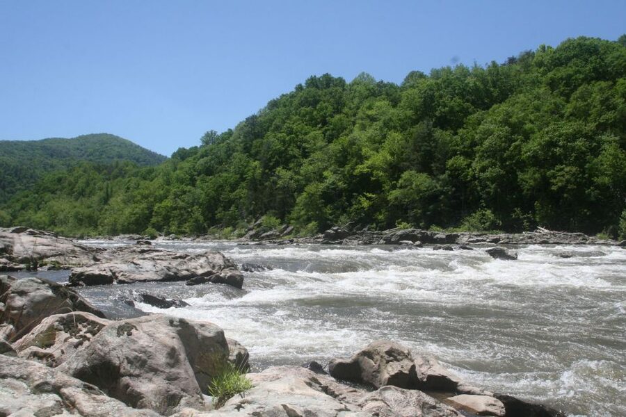 Marshall: French Broad Whitewater River Rafting Experience - Key Points on the French Broad
