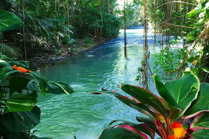 Martha Brae Rafting Adventure - How the two to three hours are likely to feel