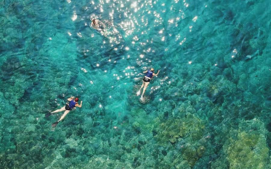 Maui: Semi-Private 3 Hour Eco-Raft Turtle Snorkel Tour - Why the small raft matters on Maui’s West Coast