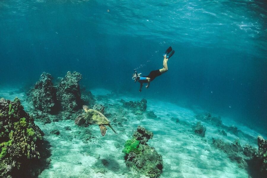 Maui: Semi-Private 3 Hour Eco-Raft Turtle Snorkel Tour - Two hours at a beginner-friendly snorkel location