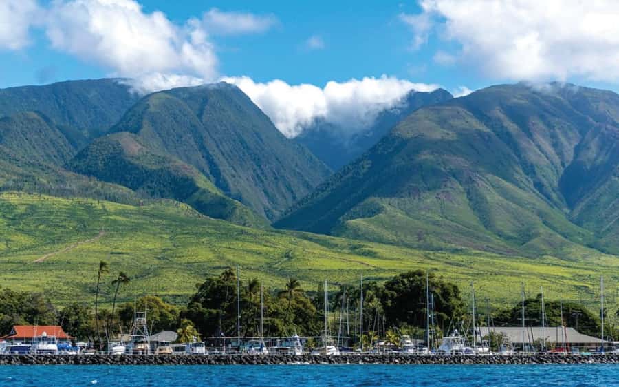 Maui: Semi-Private 3 Hour Eco-Raft Turtle Snorkel Tour - What $159 includes, and where the value lies
