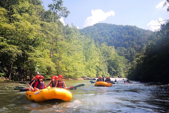 Middle Ocoee River Rafting Adventure Tour - Key points to know before you book