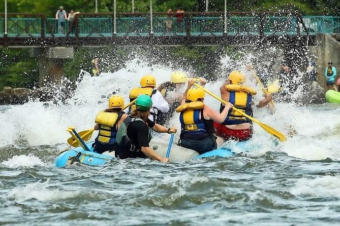 Middle Ocoee Whitewater Rafting - Who should book this rafting trip?