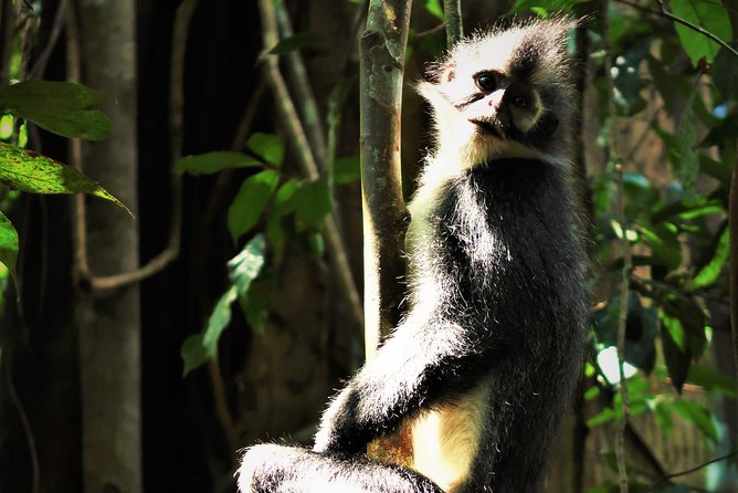 Monkey Business 2 days - 1 night Jungle Trekking (including rafting) - Guides make or break the experience