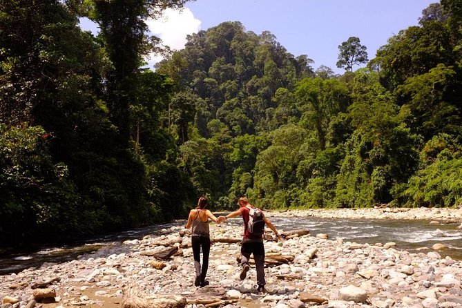 Monkey Business 3 days - 2 nights Jungle trekking (including rafting) - What the $205.37 price really buys