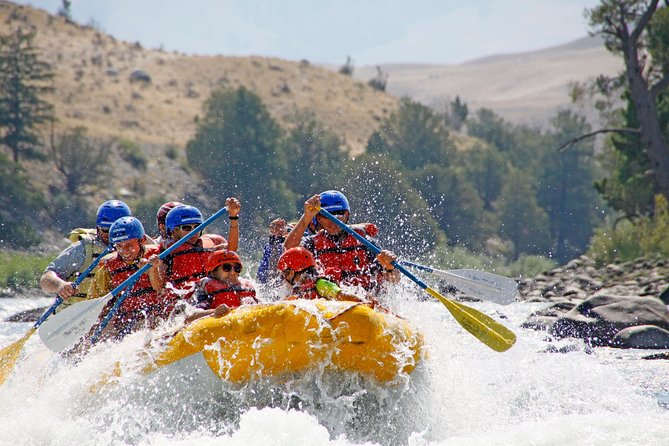 Montana Whitewater Half Day Raft Trip - Yellowstone River - Stop 3: Yellowstone Country from the water