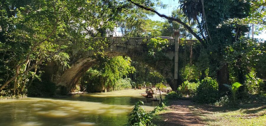 Montego Bay: Bamboo Raft Cruise on the Great River - River swims, limestone scrubs, and time to relax