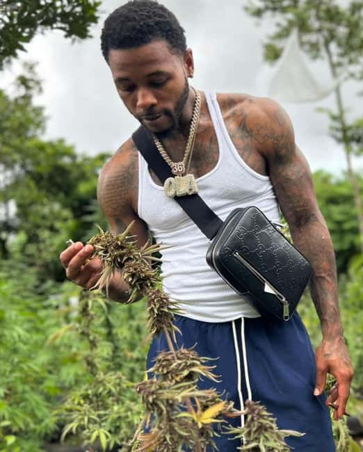 Montego Bay: Cannabis Farm, Bamboo Rafting, & Foot Massage - The Lethe River by traditional bamboo raft
