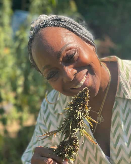 Montego Bay: Cannabis Farm, Bamboo Rafting, & Foot Massage - Who will enjoy this most