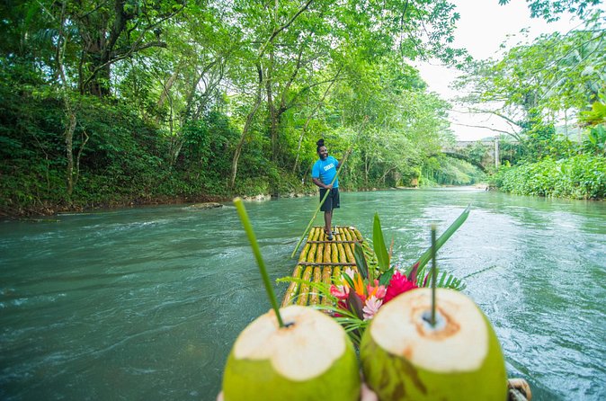Montego Bay Shopping Tour and Bamboo River Rafting - What the private format adds to the $143 price