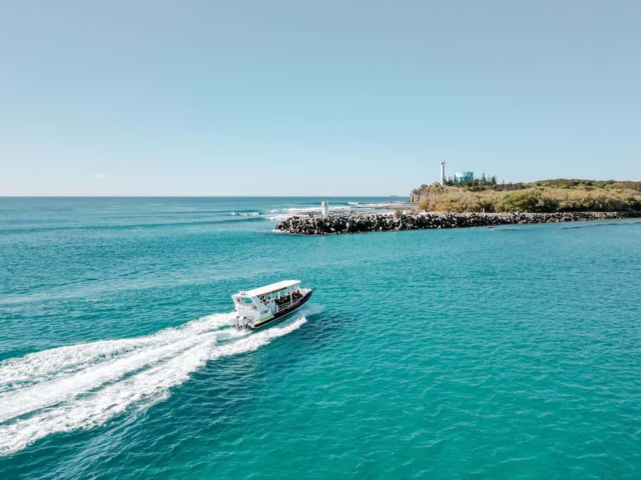 Mooloolaba: Adventure Rafting Turtle Tour - Is $48 good value?