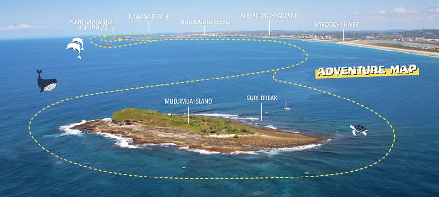 Mooloolaba: Adventure Rafting Turtle Tour - Who will enjoy this boat ride?