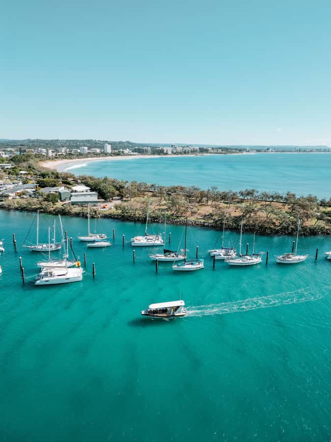 Mooloolaba: Adventure Rafting Turtle Tour - Starting at The Wharf Mooloolaba