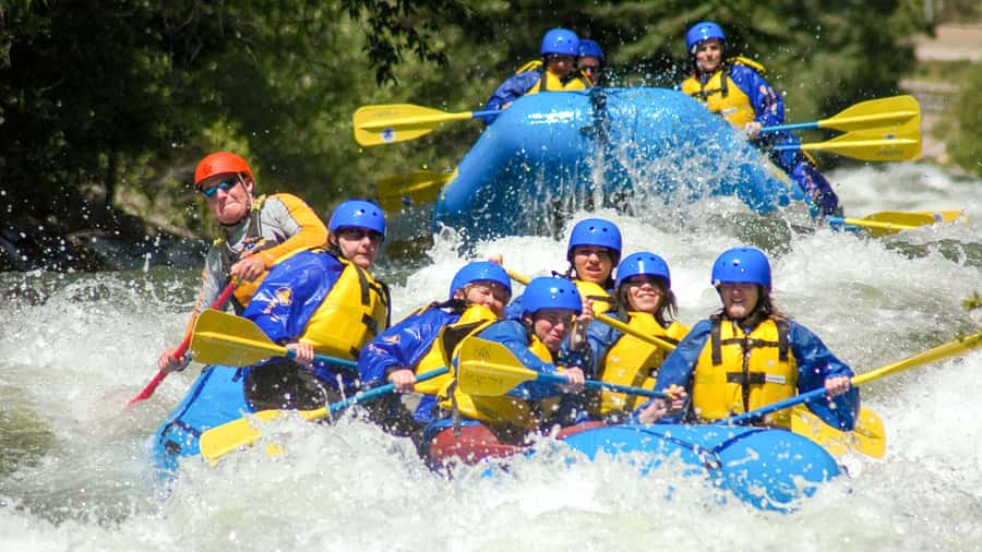 Near Denver: Clear Creek Intermediate Whitewater Rafting - Key points to know before you book