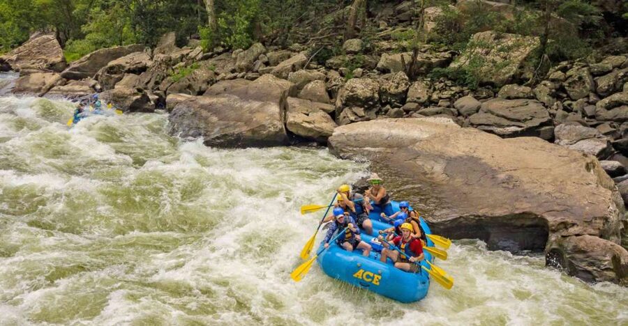 New River Gorge Whitewater Rafting - Lower New Full Day - Starting at Ace Adventure Resort