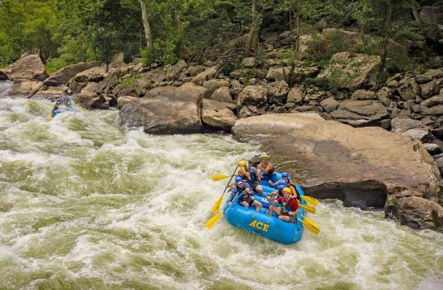 New River Gorge Whitewater Rafting - Lower New Full Day - Who should book this river trip?