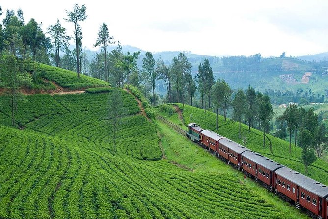 Nuwaraeliya Day Tour & Kithulgala Water Rafting from Kandy,Colombo or Ella - Gregory Lake gives you a quick look at Nuwara Eliya