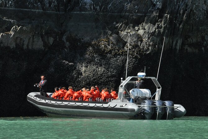Ocean Raft Alaska - Wildlife Watching From the Boat
