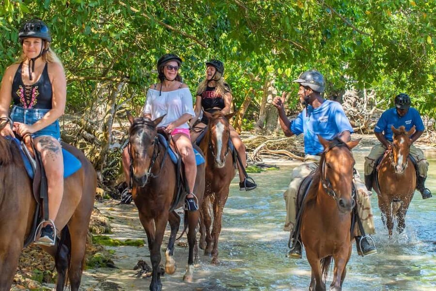 Ocho Rios: Horseback Riding in the Ocean and Bamboo Rafting - Should you book this Ocho Rios tour?