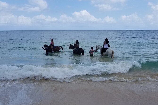 Ocho Rios Private Horse Riding, River Tubing and Rafting[Entry fee not included] - Who should book this outing?