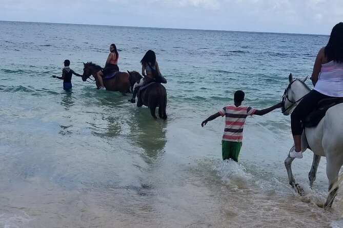 Ocho Rios Private Horse Riding, River Tubing and Rafting[Entry fee not included] - Should you book the Blue Hole, river, and riding combination?