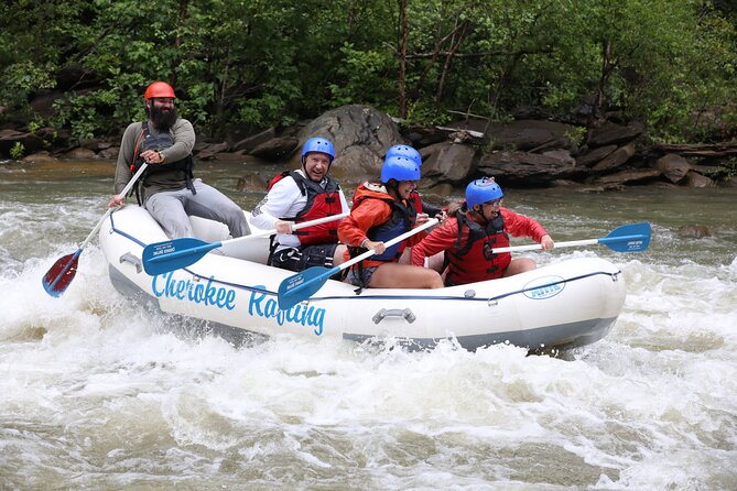 Ocoee River Middle Whitewater Rafting Trip (Most Popular Tour) - Key points to know before booking