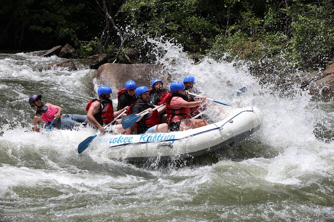 Ocoee River Middle Whitewater Rafting Trip (Most Popular Tour) - What to bring and what happens afterward