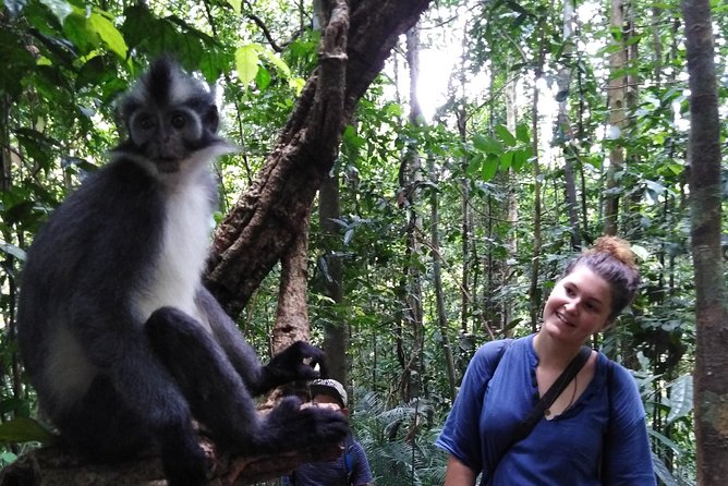 ONE DAY JUNGLE TREKKING 6-7 hours (see orang utan) + RAFTING in BUKIT LAWANG - Who will enjoy this Bukit Lawang day most