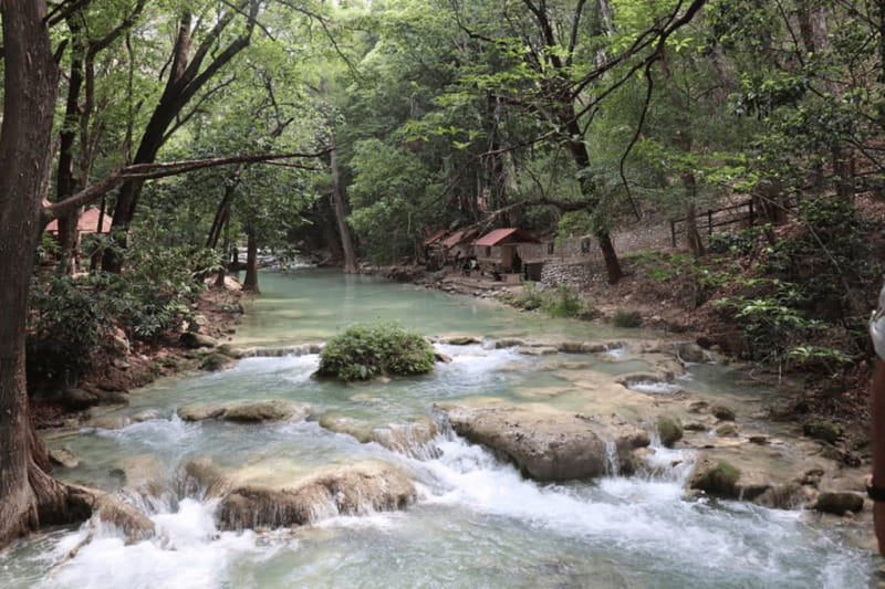 Palenque: Rafting and Jungle Trail Adventure - Key points to know before booking